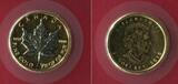 Kanada 5 Dollar 1/10 Unze Gold 2010 Maple Leaf Goldmünze teilplatiniert Wallstreet Investment Goldmünze in Glaskasten mit Box und Tasche