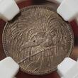 German New Guinea Deutsch Neugiunea 1/2 Mark 1894A Paradiesvogel NGC MS 63 Choice Unc. USA Grading Dunkle Patina