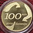 Slowenien 100 Euro Goldmünze 2009 Zoran Music 1909-2005 Polierte Platte in Box mit Zertifikat