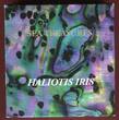 Republic of Palau 5 Dollars 2012 Sea Treasures - Haliotis Iris - Coin Number 1148 PP in Kapsel, Etui, Umkarton und Zertifikat