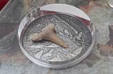 Burkina Faso 1000 Francs CFA Silbermünze 2016 World of Evolution - Selachii - mit fossilem Haifisch Zahn - Shark Handmade Antique Finish Premium mit OVP