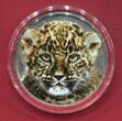Burundi 5000 Francs Silbermünze 2014 The African Baby Five - Leopard (1 oz, m. Farbauflage, sehr selten / very rar) Antique finish in Kapsel, Zertifikat & Box