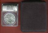 USA 1 Dollar Silbermünze - 1 oz Silver 2021 American Silver Eagle - 1 Unze MS 70 Stgl. mit ANACS Holder und Etui