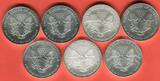 USA 7 x 1 Dollar Silbermünzen 2003-2010 Walking Liberty mit Teilvergoldung Konvolut - 7 verschiedene Jahrgänge Stempelglanz teilvergoldet in Kapseln