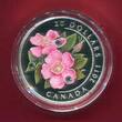 Kanada 20 Dollars Silbermünze 2011 Wild Rose (1 oz, coloriert mit Kristallen) Polierte Platte in Kapsel mit Zertifikat & Box
