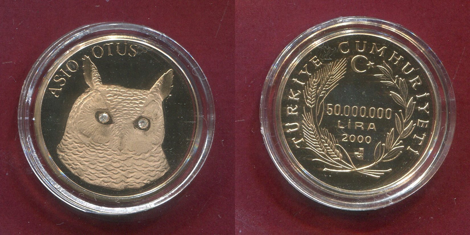 t-rkei-turkey-50-000-000-lira-2000-asio-otus-eule-owl-mit-diamantaugen