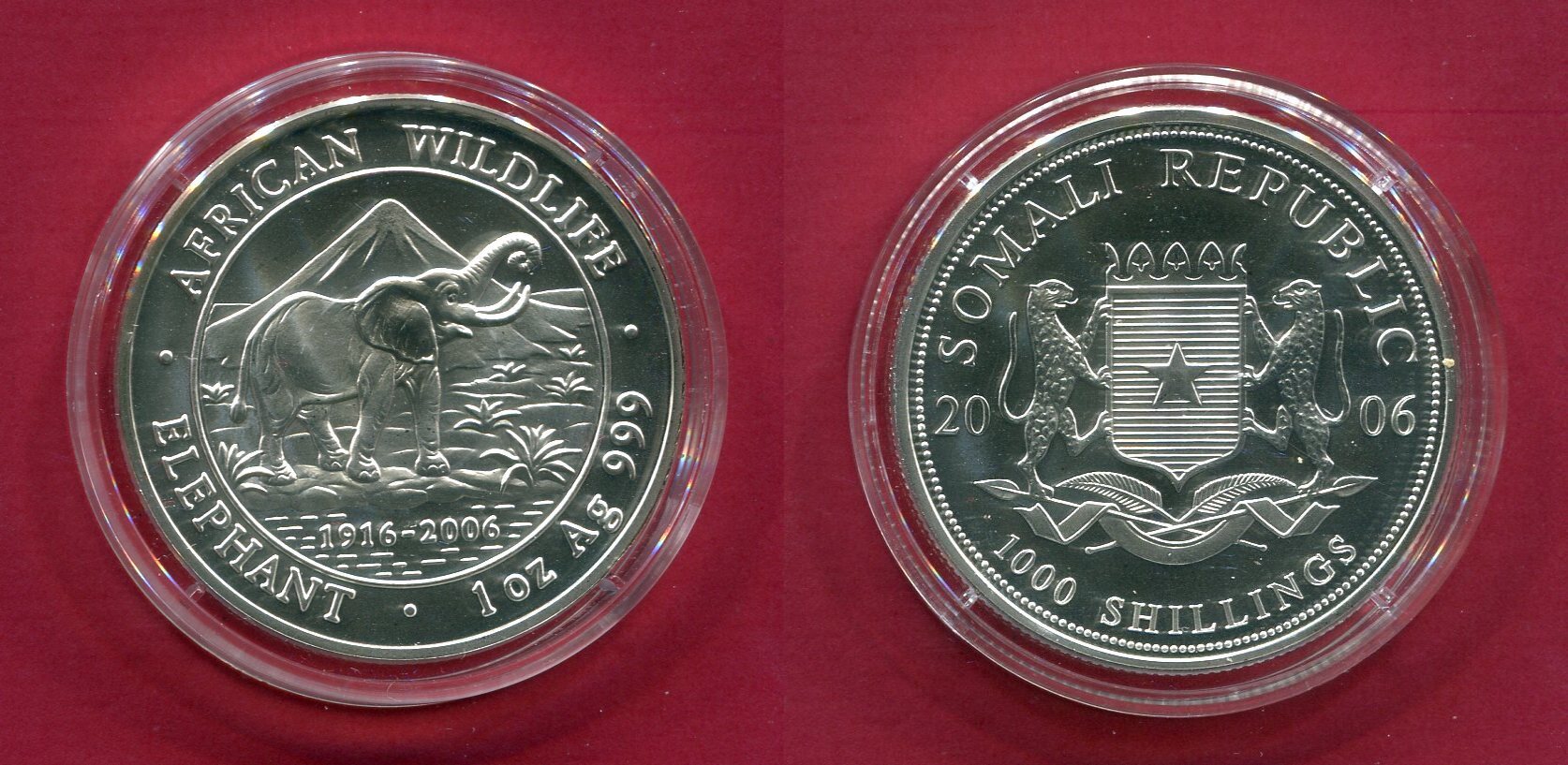 Somalia 1000 Shillings Silbermünze 2006 Elefant - Elephant (1 oz ...