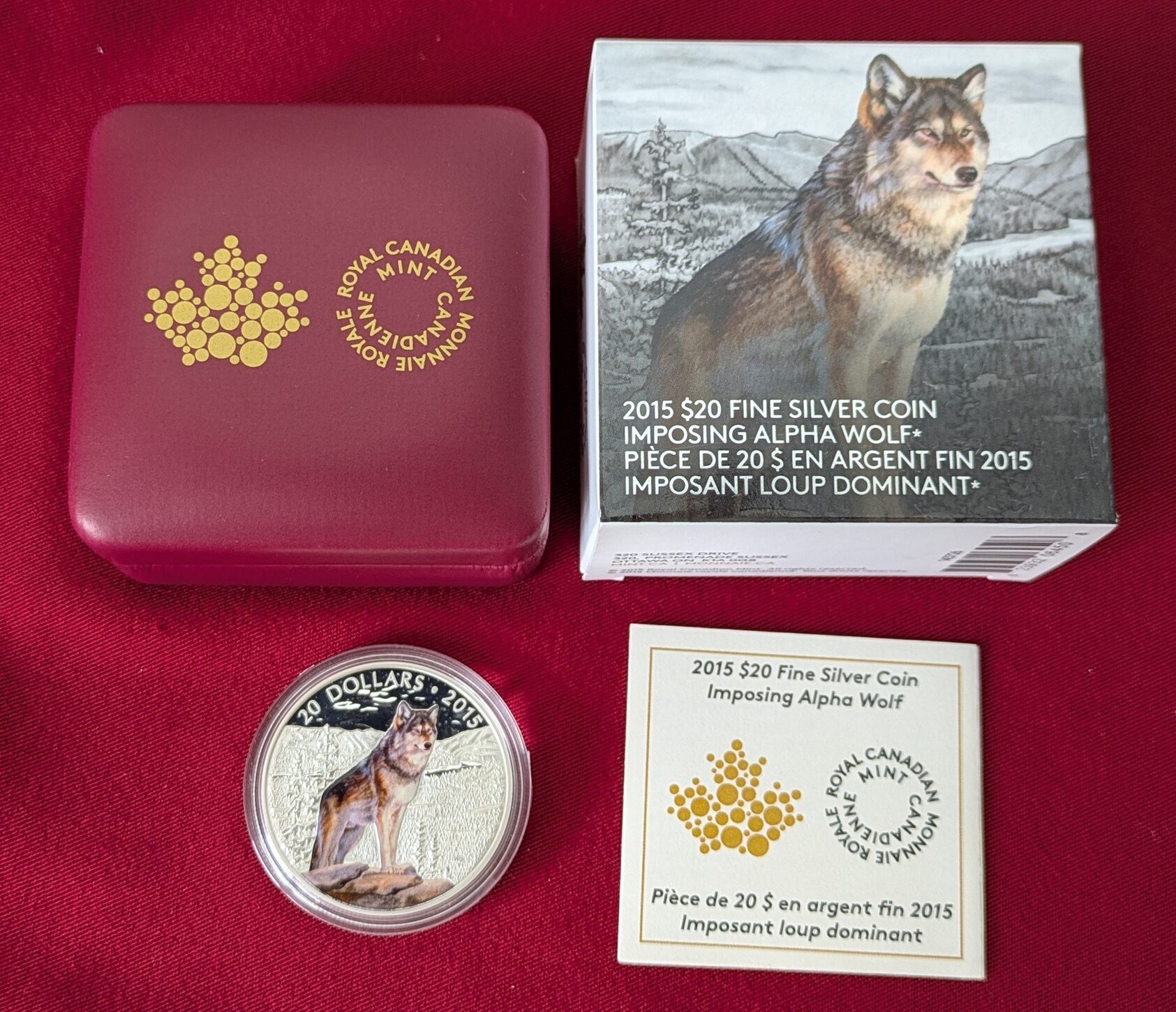 Neugieriges Hündchen 1oz Silber Farbmünze Produktbild-Vorschau 9