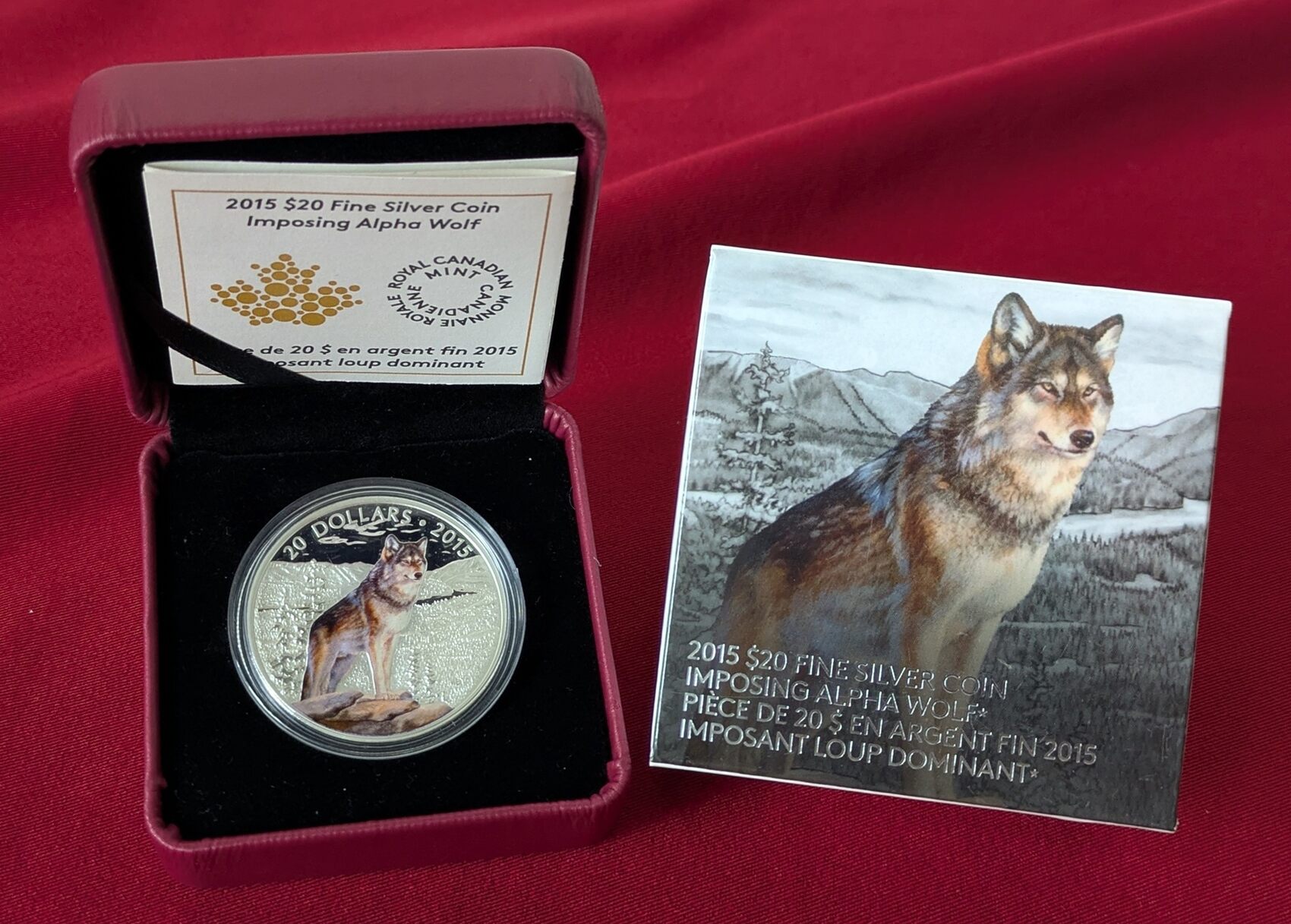 Neugieriges Hündchen 1oz Silber Farbmünze Produktbild-Vorschau 4