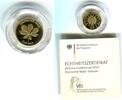 Deutschland BRD Germany FRG 20 Euro Goldmünze 1/8 Unze Deutscher Wald Kastanie
