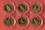 Deutschland BRD 6 x 20 Euro Goldmünzen a 1/8 Unze 2016 - 2021 Heimische Vögel -Nachtigall, Pirol, Uhu, Wanderfalke, Weißstorch & Schwarzspecht St...