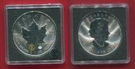 Kanada 5 Dollars Silbermünze Maple Leaf - Privy Mark W16 (1 oz) -