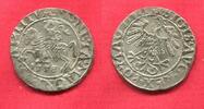 Polen Litauen 1/2 Groat 1558 Sigismund II Augustus ss-vz