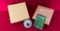 Benin 100 Francs CFA Cu-Ni-Münze Berühmte Pflanzen - Cannabis Sativa (m. Farbapplikation, versilbert) -