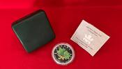Kanada 5 Dollars Silbermünze Maple Leaf (1 oz, coloriert) -