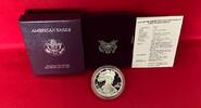 USA 1 Dollar Silber 1990 American Eagle Silver Bullion (1 oz) Polierte Platte in Kapsel, Zertifikat,