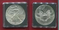 USA 1 Dollar Silber Liberty (1 oz) -