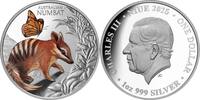 Niue 1 Dollar BABY NUMBAT Cute and Cuddly 1 Oz Silver Coin 1$ Niue 2025 -