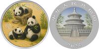 China 10 Yuan ZEN GARDEN Panda Silver Coin 10 Yuan China 2025 -