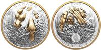 Canada 50 Dollars BEAVER Canadian Symbol Silver Coin 50$ Canada 2025 -