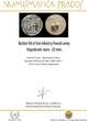 MILITARY BUTTONS  Button 54 st line Infantry French army, Napoleonic wars - 23 mm. ss
