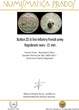 MILITARY BUTTONS  Button 22 st line Infantry French army, Napoleonic wars - 21 mm. ss