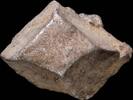 Roman Republic Awesome Ancient Silver Precoin - 1.42 gr. -