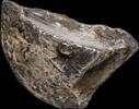 Roman Republic Awesome Ancient Silver Precoin - 19 mm / 8.66 gr. -