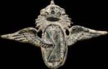 MILITARY BUTTONS  Military Badge, Air Mail Alfonso XII, 52x32 mm. ss