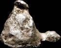 Roman Republic Awesome Ancient Silver Precoin - 27 mm / 12.99 gr. -