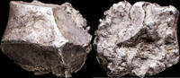 Roman Republic Awesome Ancient Silver Precoin, Ingot Shape - 10 mm / 2.27 gr. -