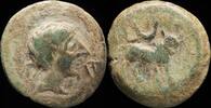 IBERIAN PUNIC REPUBLICAN  Castulo, Cazlona (Jaén), Ae Semis - 20 mm / 5.... 25,00 EUR Differenzbesteuert nach §25a UStG zzgl. 8,00 EUR Versand