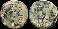 IBERIAN PUNIC REPUBLICAN  Ancient Hispania - Irippo, Dos Hermanas (Sevilla) Ae Semis - 26 mm / 8.03 gr. ss