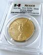 Mexico Onza Mexiko – 2024 – Libertad – Goldmünze 1 oz – First Strike MS69