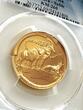 South Africa  Südafrika – 2000 – Natura – Sable Antilope – 1/2 oz Gold – Proof PR69DCAM