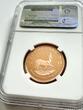 S.AFRICA 1/2KR Südafrika – 2012 – Krügerrand – 1/2 oz Gold Proof – One of First 300 Struck NGC PF 70 ULTRA CAMEO