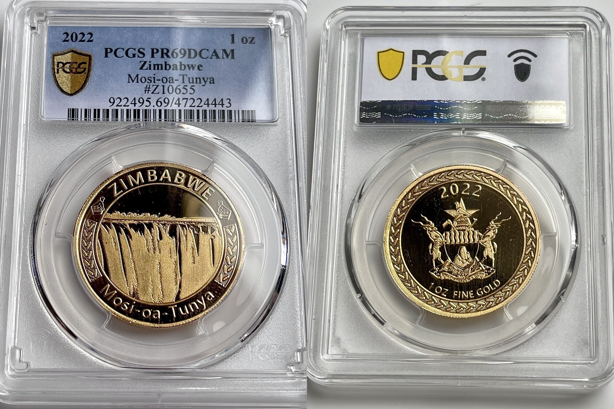 Simbabwe – 2022 – Mosi-Oa-Tunya – 1oz Gold – PCGS PR69 DCAM Proof | MA ...