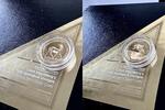 Südafrika 10 Rand Südafrika – Natura – 2017 – Springbok – 1/10oz Proof Gold mit Box und Zertifikat -