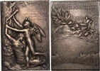 Medaillen, Jetons Bronze 1900 Plaquette Exposition universelle de Paris par Roty  argenté