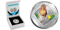 Aruba 5 Florin Aruba 5 Florin Shoco