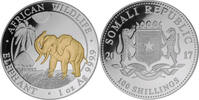Somalia Republic 100 Shilling Elephant / Elefant -