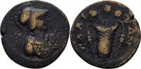 Aiolis Elaia Bronze -