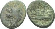 Phoenicia Aradus Bronze