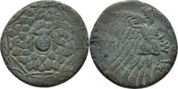 Pontos Amisos Bronze Zur Zeit Mithradates VI. Eupator (120-63 v.Chr.)