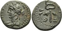 Antiochia /Syrien Bronze ( dichalkon) Bronze 146 - 147 nach Christus.