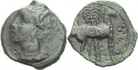 Zeugitania Bronze