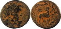 Provincial AE Unit Syria-Antioch AE - Autonomous Issue Under Augustus -