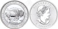 Kanada 8 Dollar 1 1/4 Unze 1 1/4 Unzen Silber - Bison - 1 1/4 oz Silber -