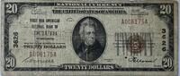 United States (Duluth Minnesota)  twenty dollars 1929 S