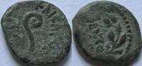 prutah 30 AD (year 17 of the rei Acient Judea  SS